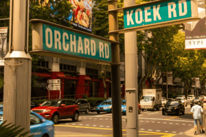 Green street signs for Orchard Road and Koek Road at a sunny intersection, marking the street-level location near Cuppage Plaza.