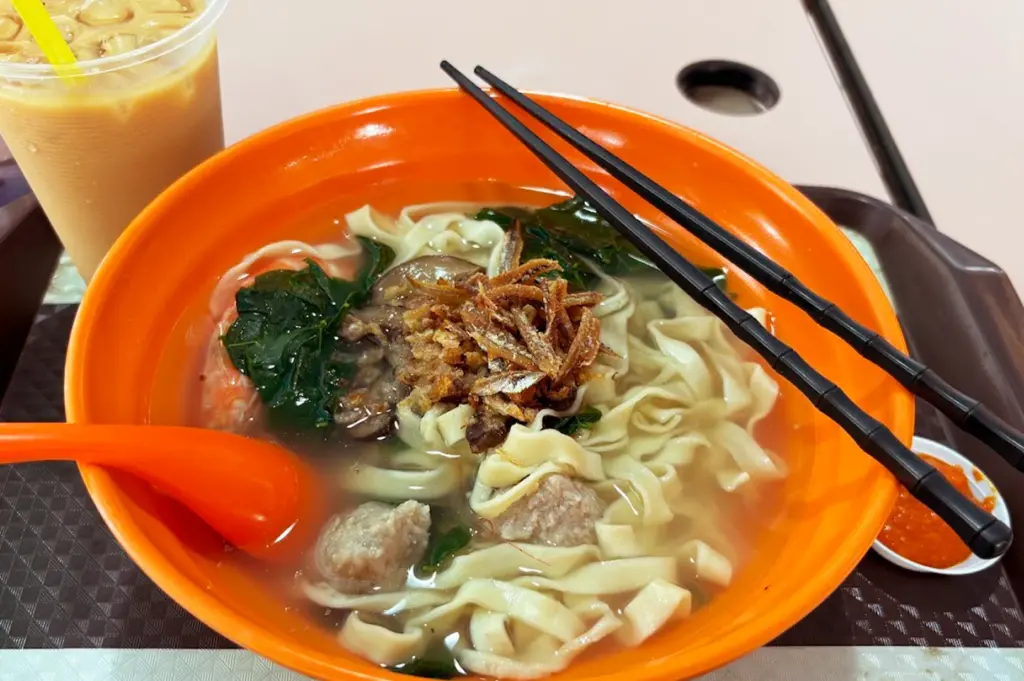 A bowl of Chinese noodle soup with flat noodles, chicken meatballs, leafy greens, and a garnish of crispy fried anchovies served with a side of chili flavorful sauce.